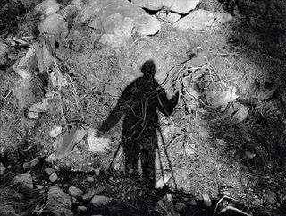 ﻿’Self portrait, Øtroya’ by Stuart Franklin, 2010. A mans shadow on a forest floor.