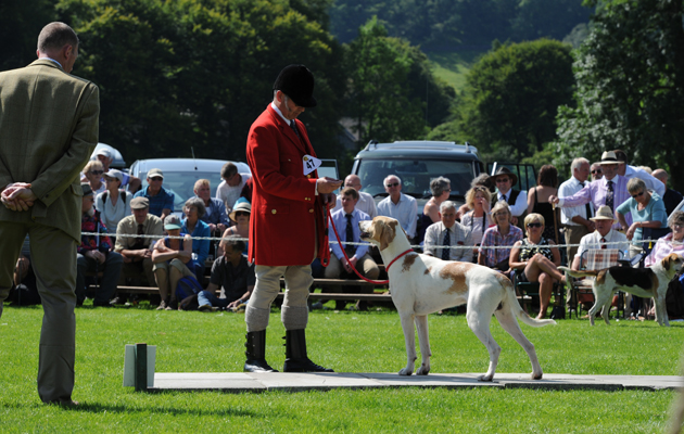 Rydal Hound Show 13.08.15