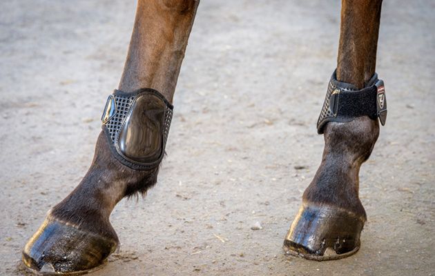 Tri-Zone Tendon and Fetlock boots review