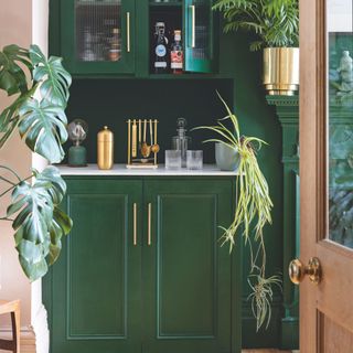 Green painted drinks cabinet with glasses and drinks shakers on it, surrounded by indoor houseplants