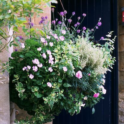 Pastel basket of flowers hanging on brick wall next to blue door