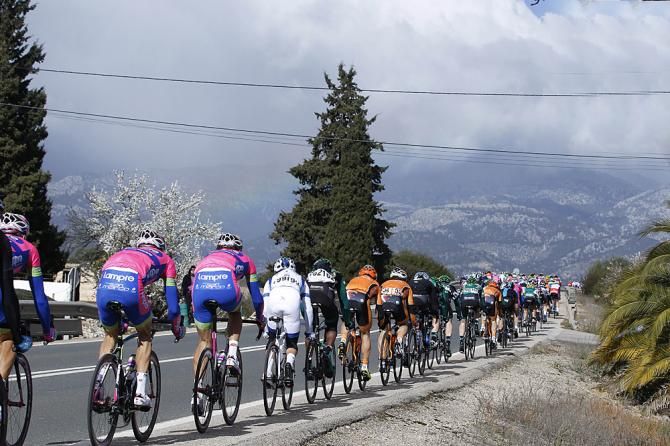 The peloton lined out single file in Mallorca