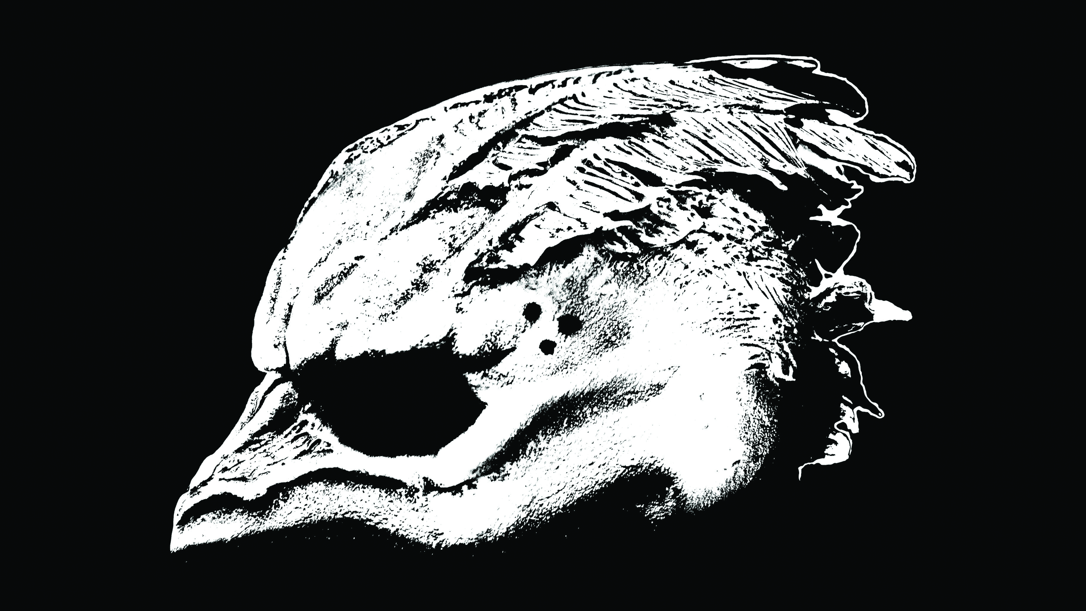 Cover art for Legend Of The Seagullmen - Legend Of The Seagullmen