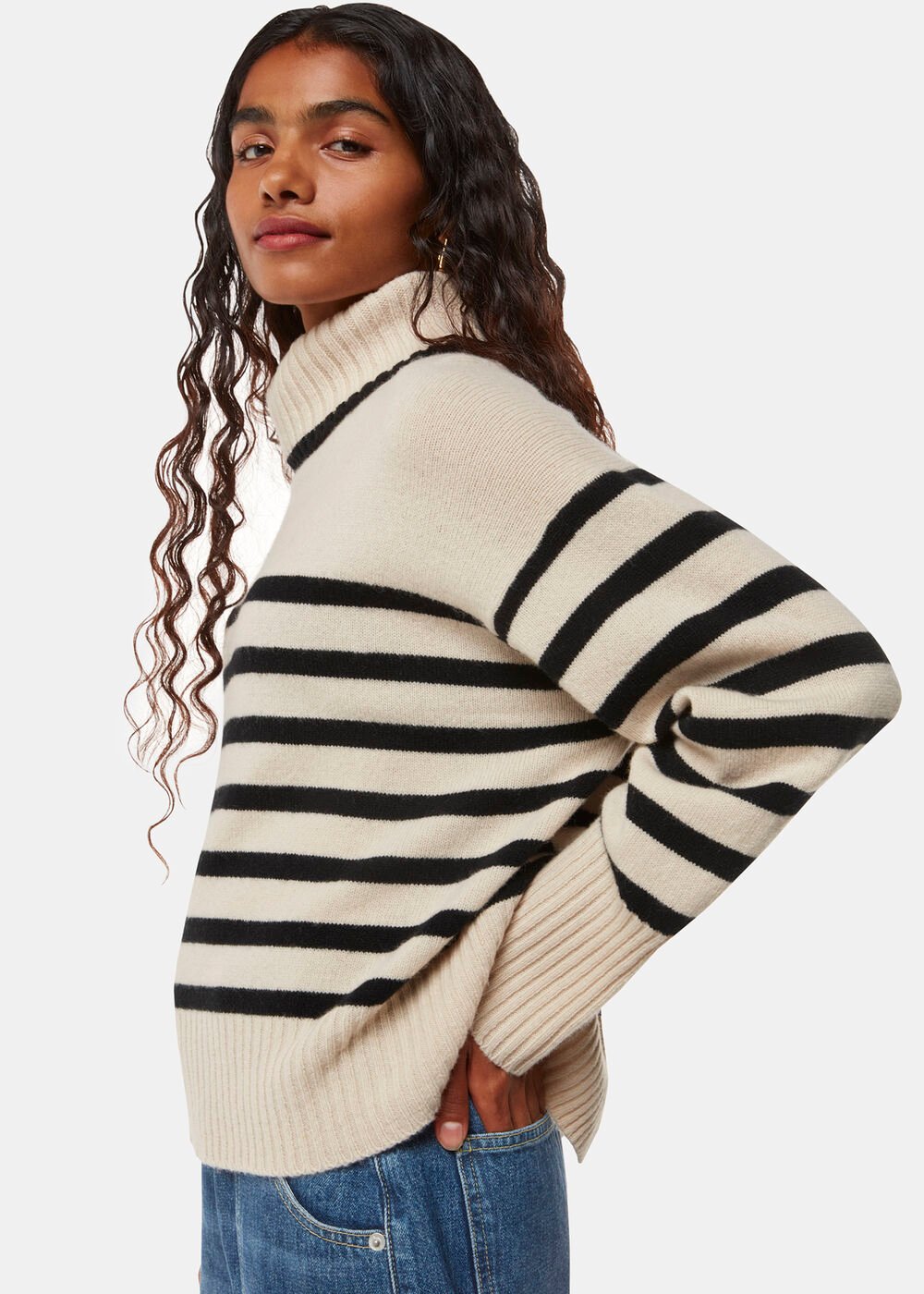 Ivory Petite Stripe Wool Roll Neck