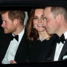 Prince Harry, Prince William and the Princess of Wales travel in a car together