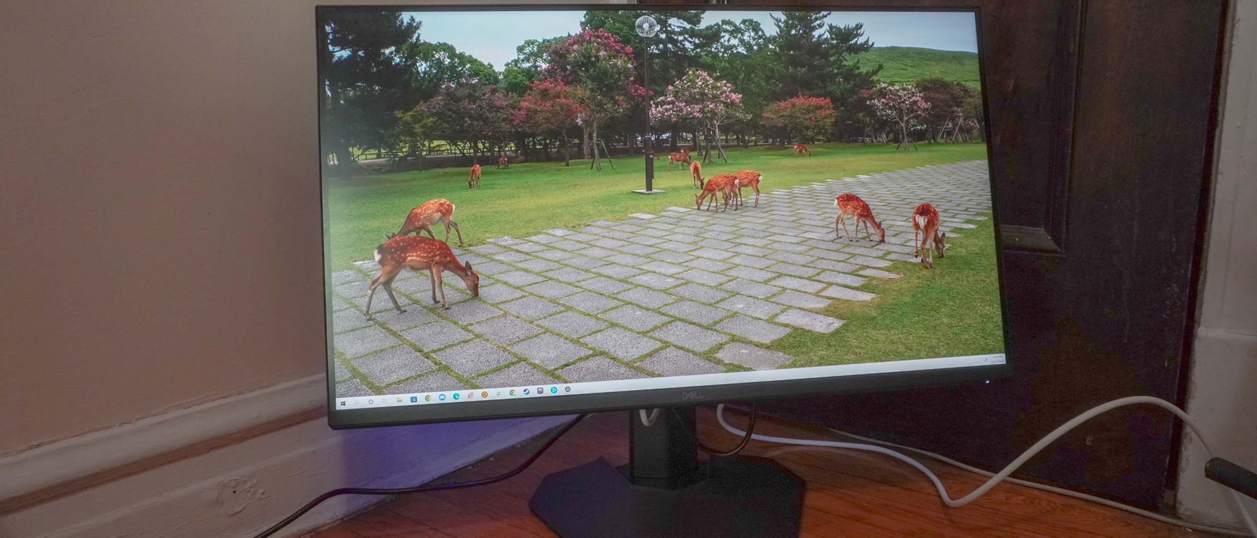 Dell g3223q 最終値下げ Amazon.co.jp: Dell G3223Q 32インチ 4K ゲーミングモニター