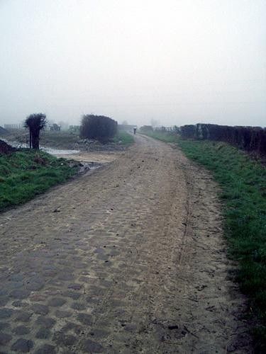 Viesly &agrave; Qui&eacute;vy Secteur 27 is very muddy.