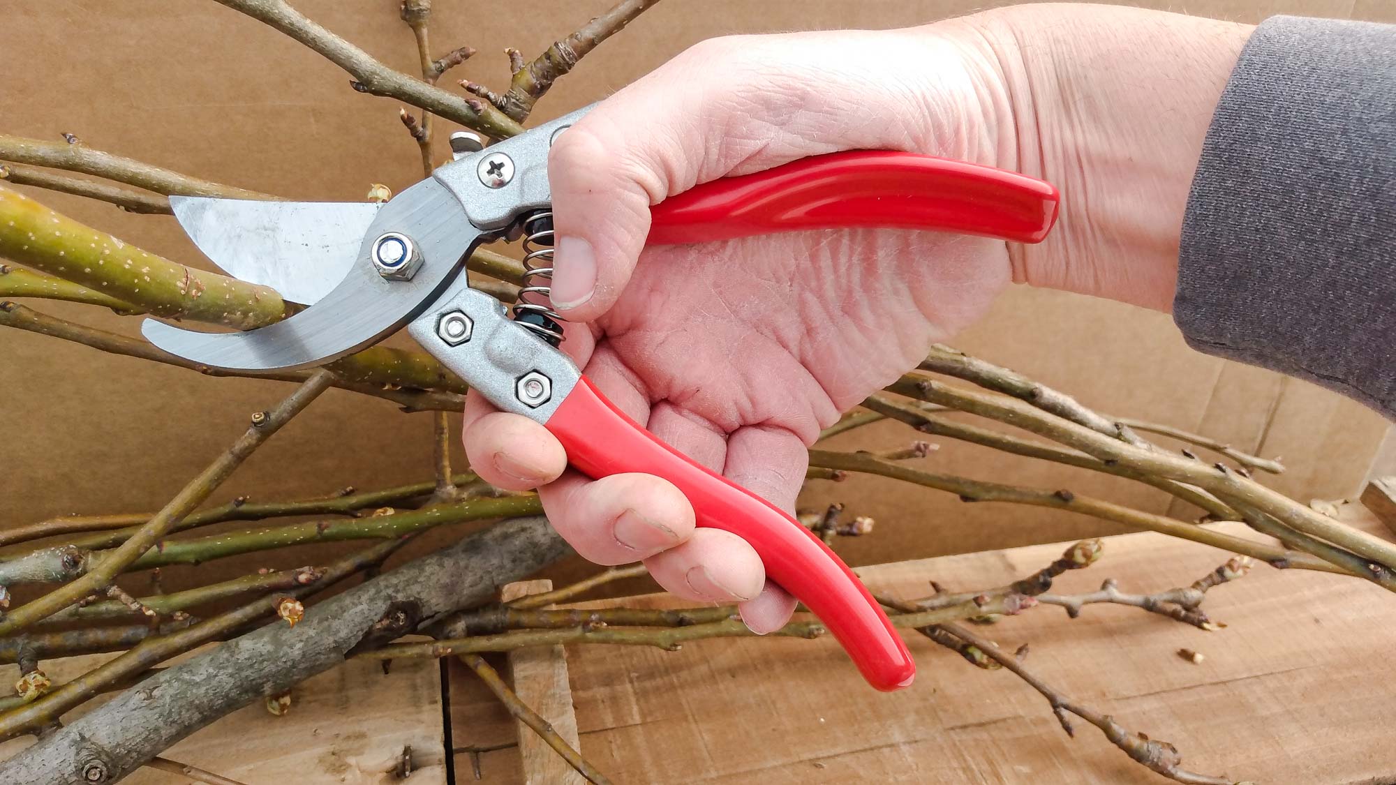 Best pruning shears in 2024: Tested and rated | Tom's Guide