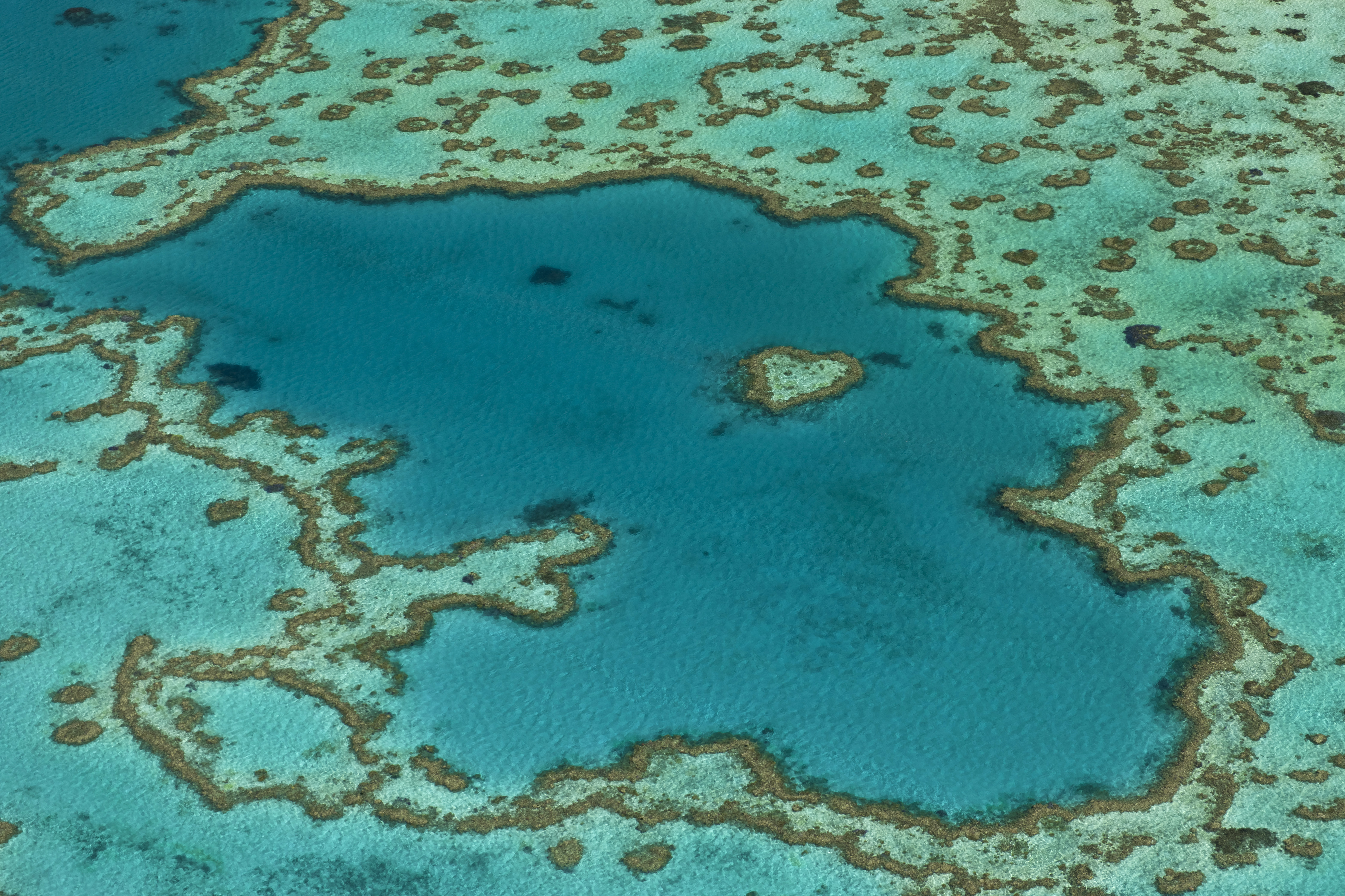 Aerial view of Hardy Reef, home to the heart reef, in the Great Barrier Reef