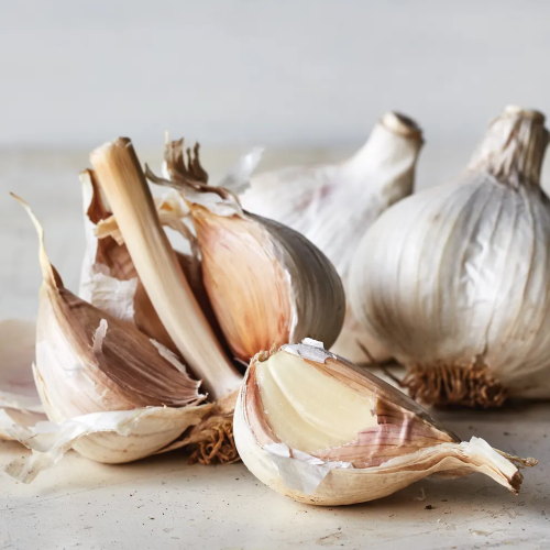 Garlic, Music