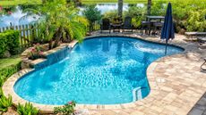 Landscaped backyard pool 