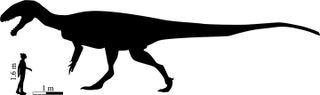 The silhouette of the enormous meat-eating dinosaur next to an average human for a sense of scale.