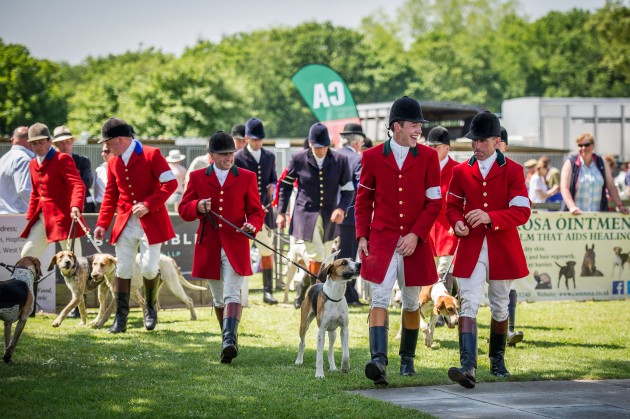 South of England Hound Show June 2015