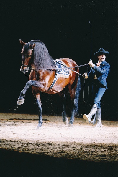 Olympia display