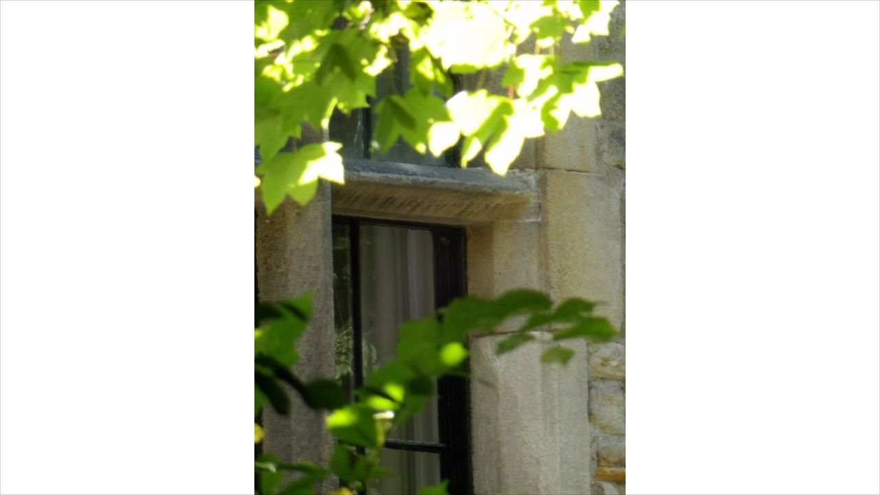 Images taken with the Kodak AZ653 cameras