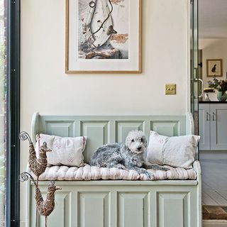 hallway with dog and pillows