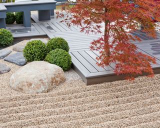 Japanese style garden with raked gravel, rocks and red acer