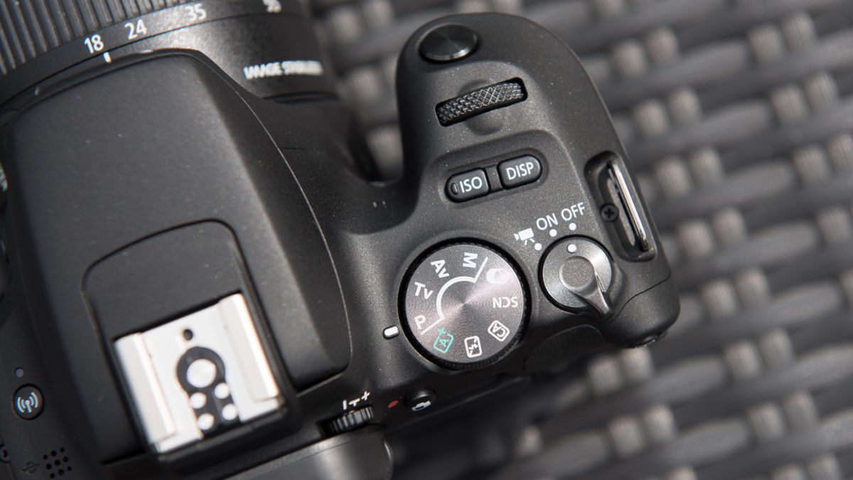 Recent Canon EOS Insurgent SL3 / EOS 250D / EOS 200D II rumors floor