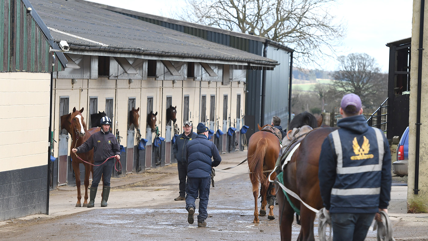 Mark Johnston racing yard 15.12.21