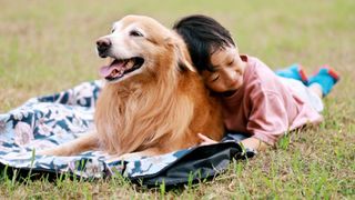 Golden Retriever and boy lying on grass together