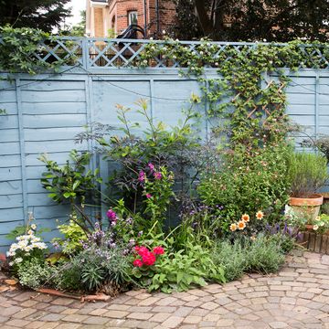 Are you breaking the law in your own back garden? | Ideal Home