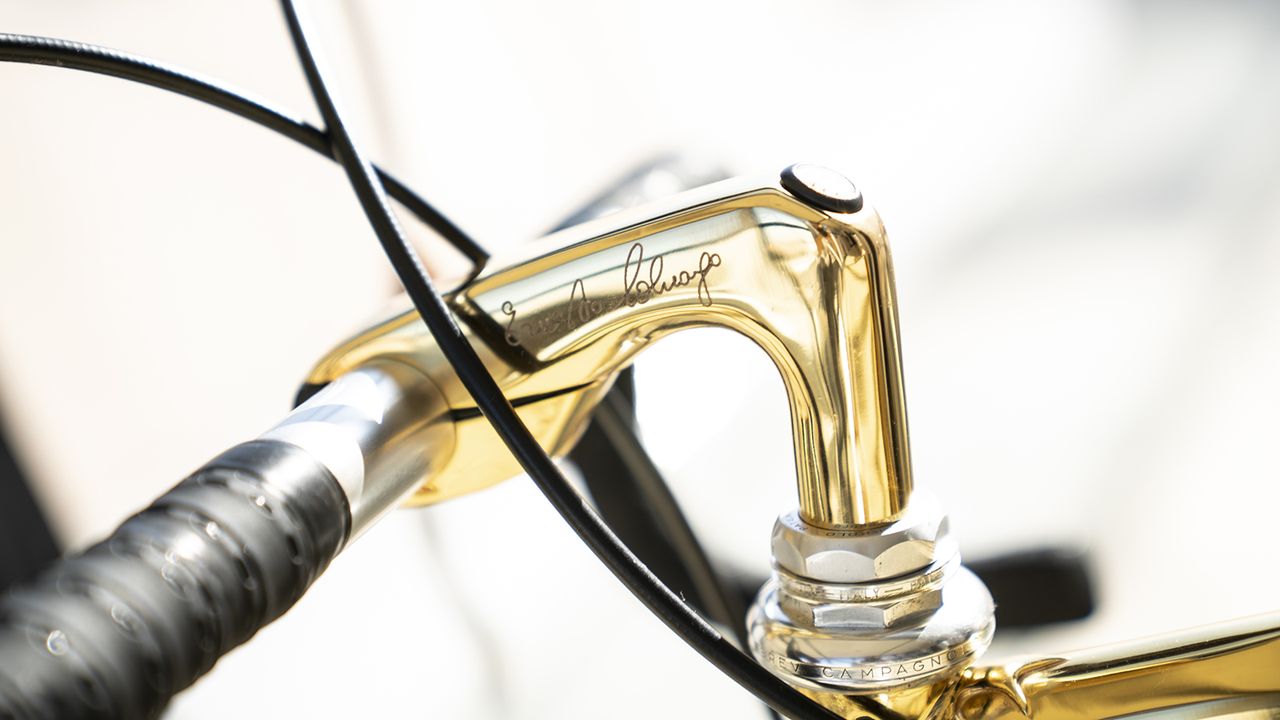 A closer look at the stem