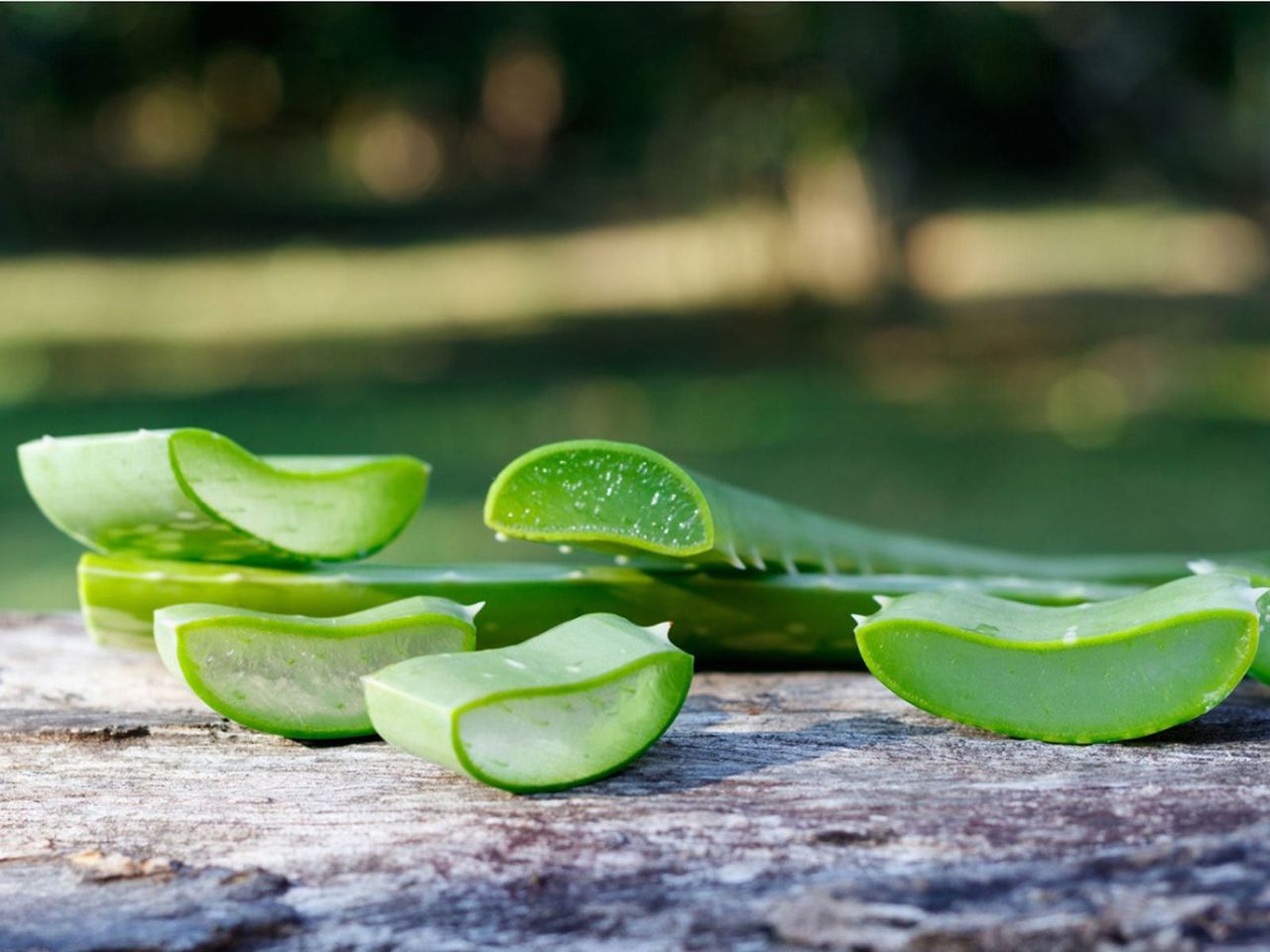 Cut Up Aloe Vera Plant