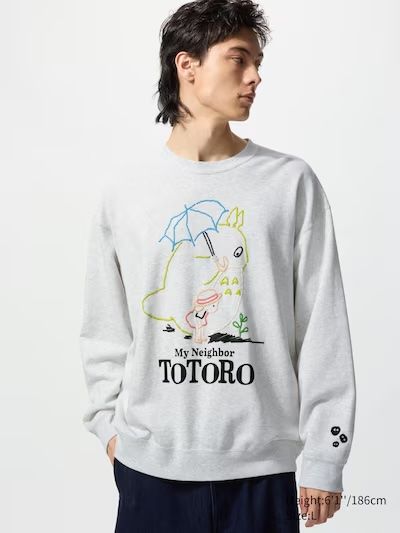 My Neighbor Totoro grey sweatshirt from the front with a large print in the middle