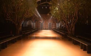 A tree-lined avenue, embellished gates and gold set