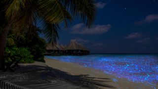 The 'Sea of Stars; beach at the Maldives