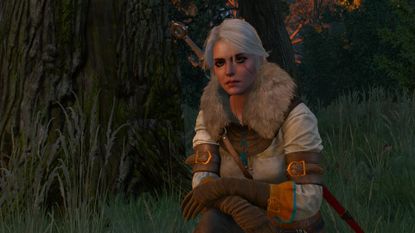 The Witcher 3