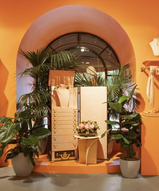 House plants in the Louis Vuitton pop-up boutique in Lombardy