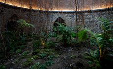 Dark garden within a curved wall, created by Precious Okoyomon at Montaña de los Gatos in Parque de El Retiro
