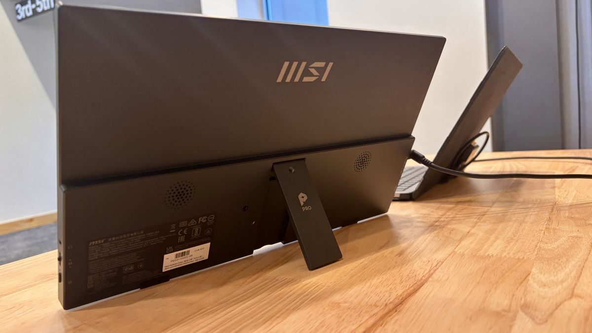 MSI | Pro MP165 E6