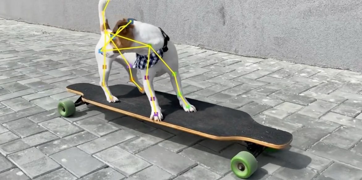 iOS 17 could transform your iPhone into a pet-tracking camera — here's ...