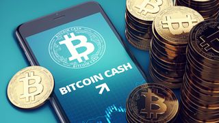 Top cryptocurrency — Bitcoin Cash