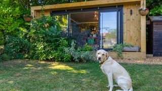 summer house with dog outside