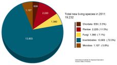 Graphic from 2011 State of Observed Species Report