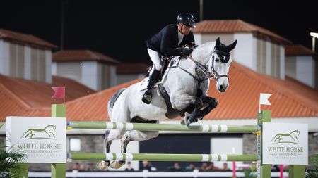 Shane Breen and BP Arctic Blue clear a large oxer at the Al Shira&rsquo;aa International in the UAE.