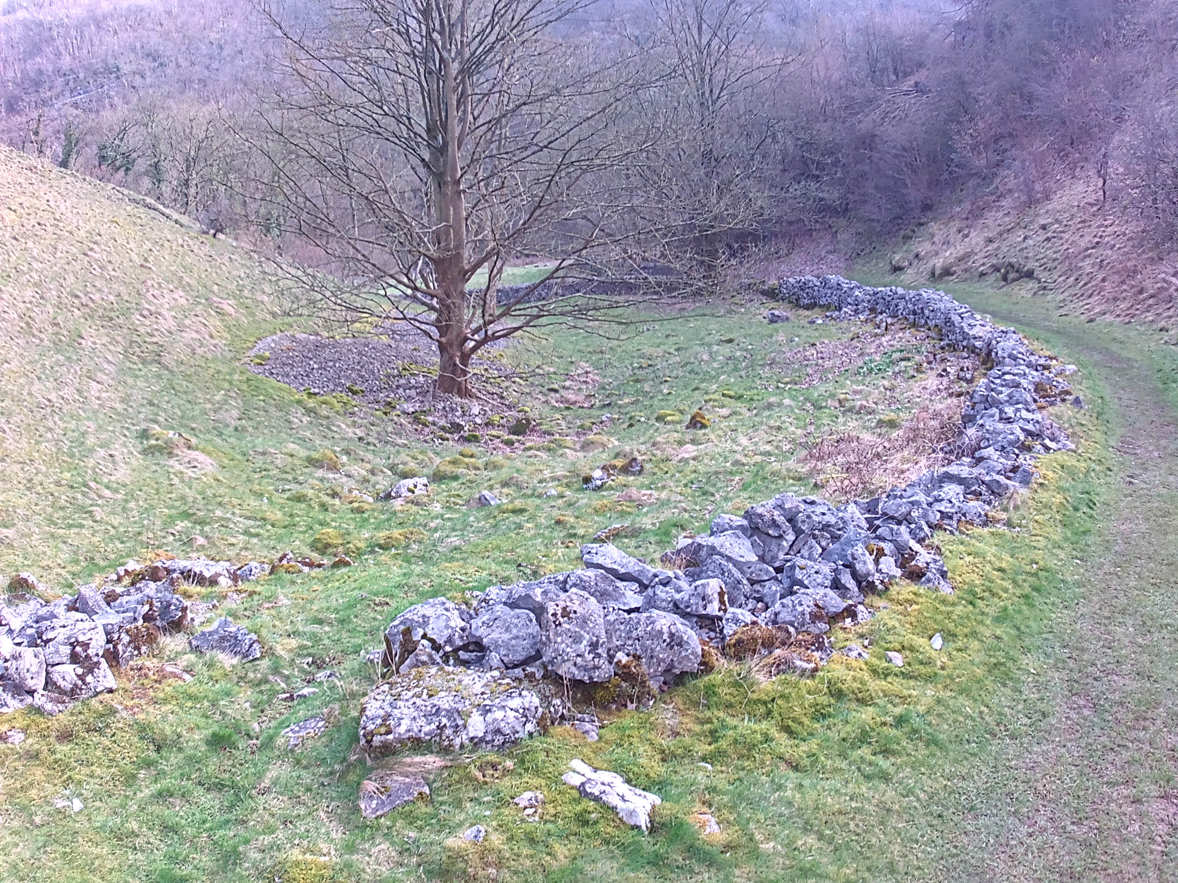 Photo of a dry stone wall taken with the Ruko F11 Mini drone