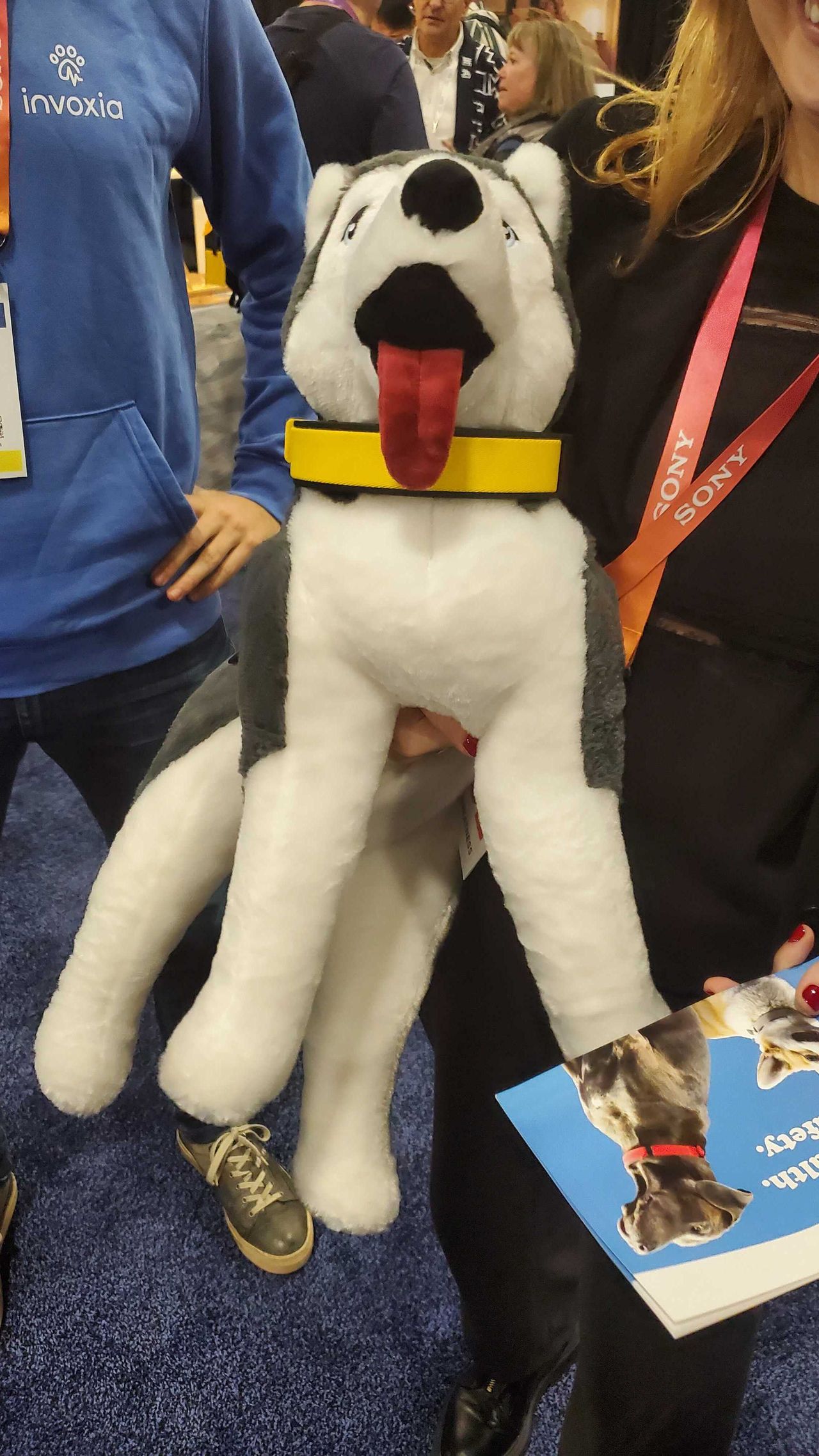 plush dog with collar