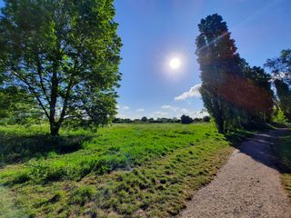 Dynamic range enhancement is about as effective as Samsung’s more expensive phones: sun in the shot, but the foreground is still fairly bright and clear.