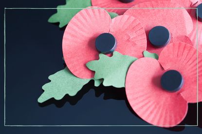 A close up of some poppy pins on a black background