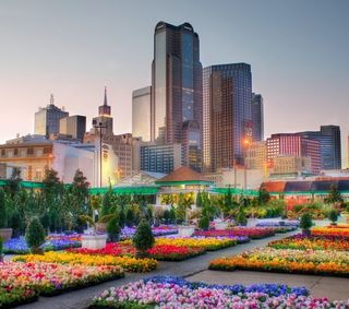 Dallas Flower Garden