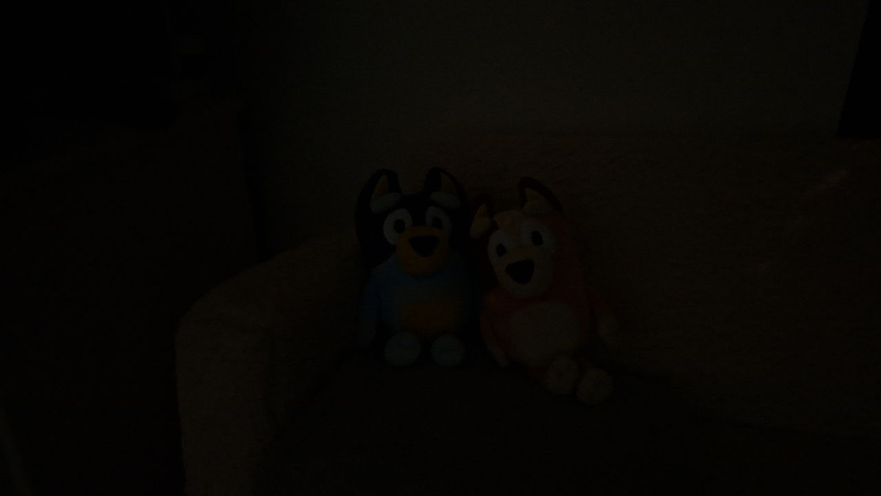 Samsung Galaxy A56 low-light photography