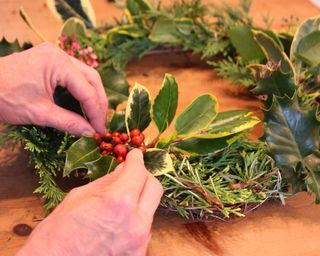 Making a Christmas wreath with garden greenery