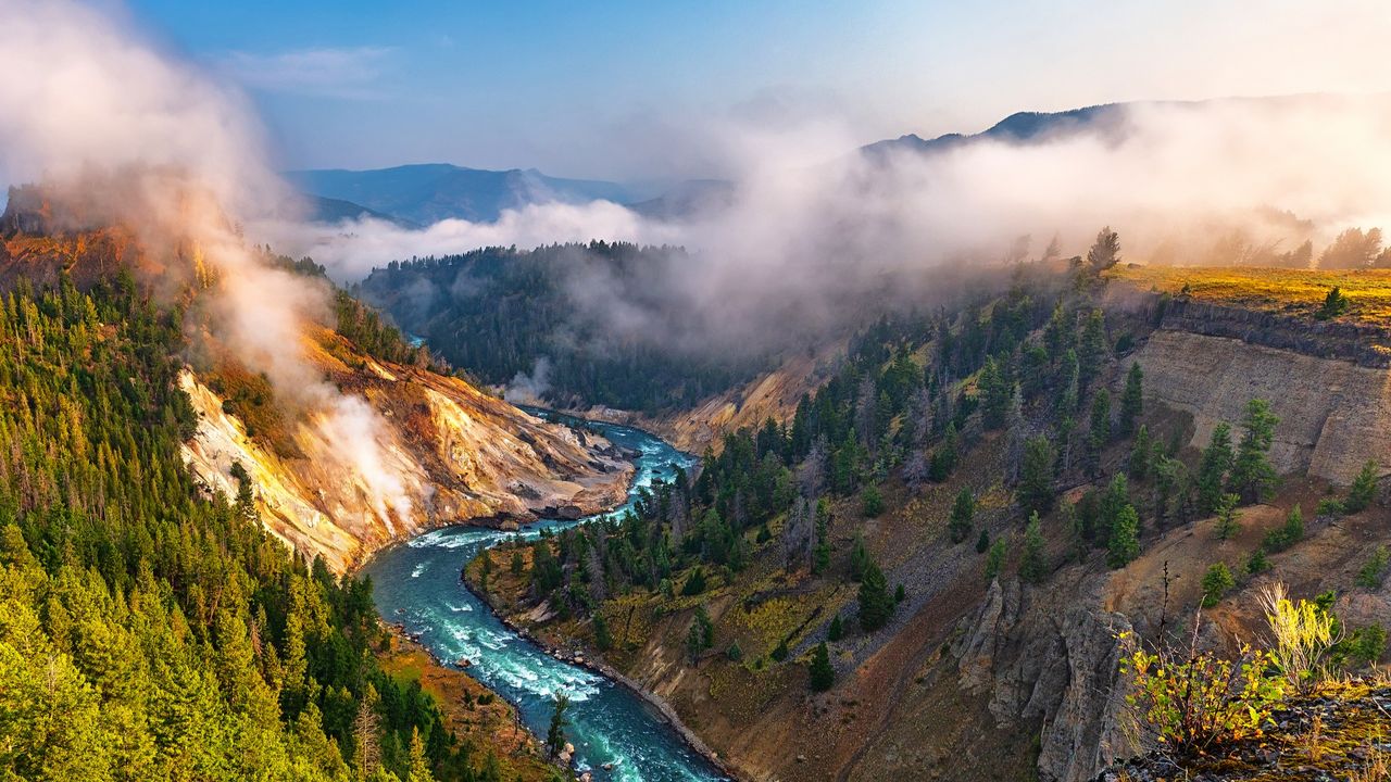 'It cuts both ways': Positive tipping points can restore wreaked ecosystems — we just need to trigger them, Earth system scientist Tim Lenton says