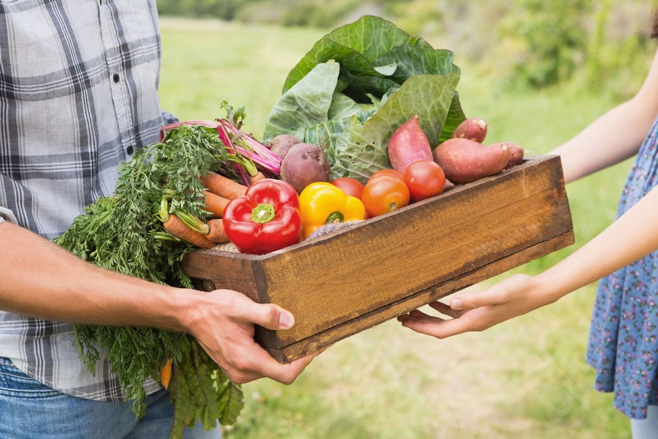 Person Handing Over A Box Of Vegetables