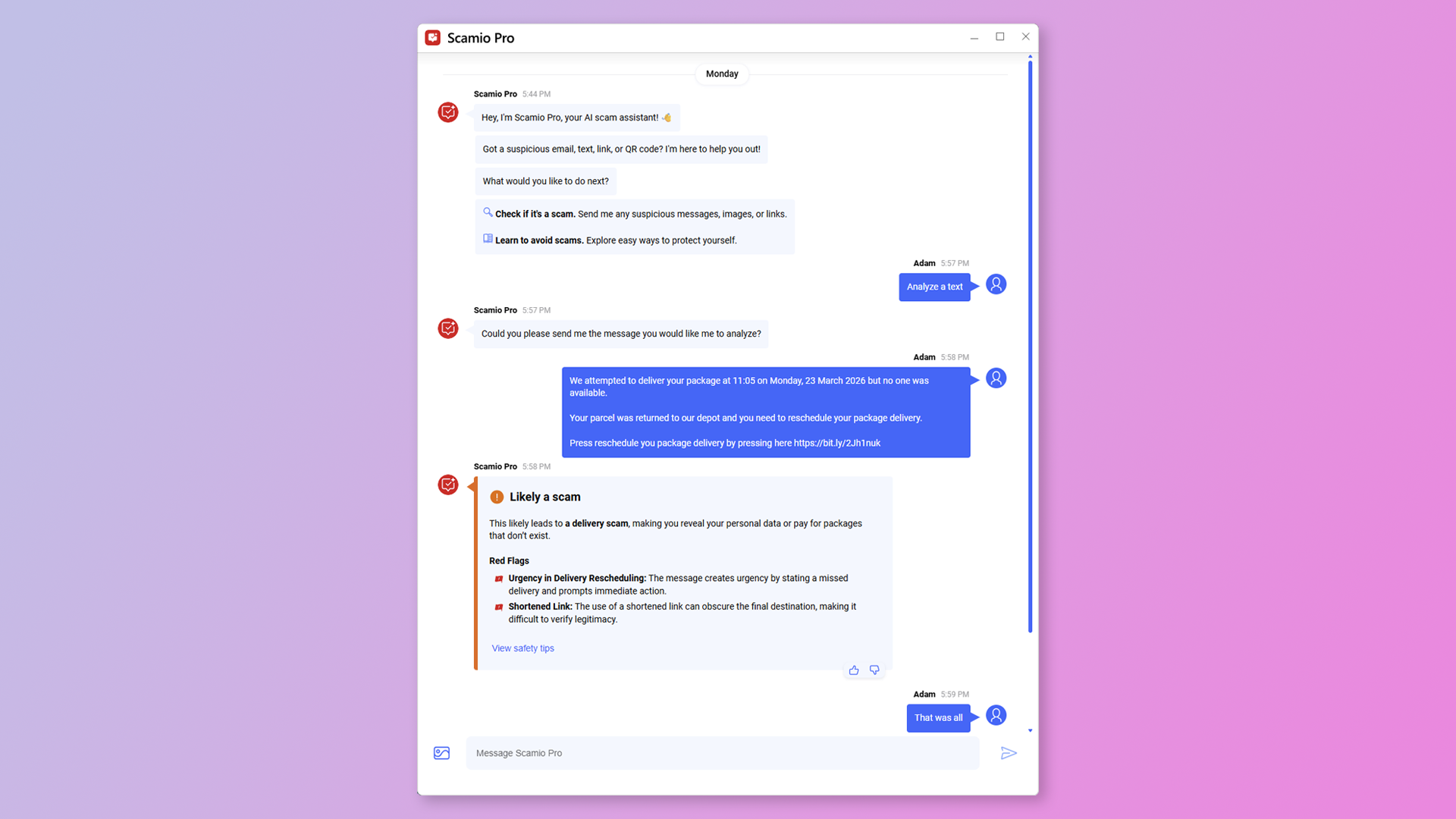 Scamio Pro analysing the text of a scam message