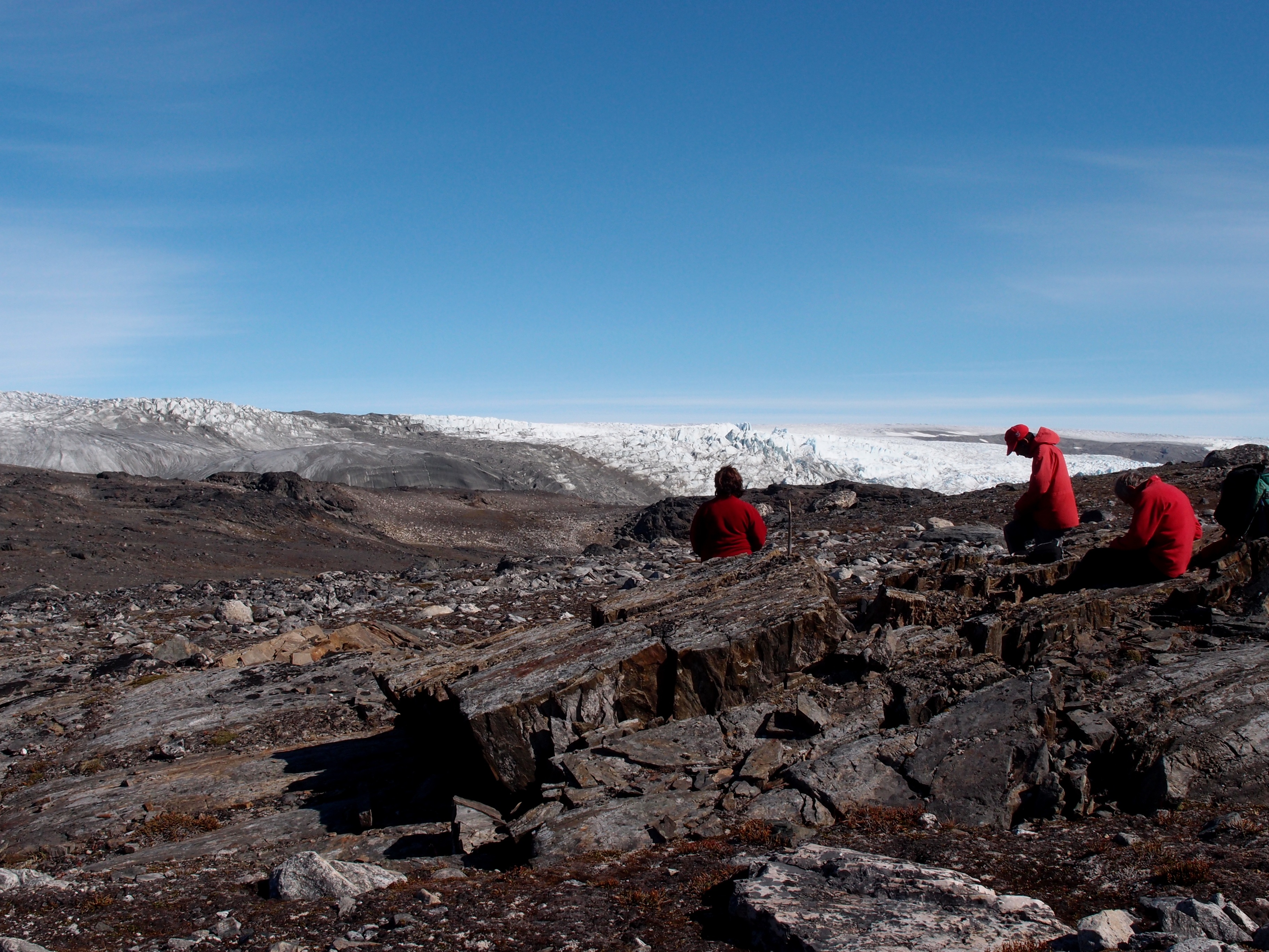 Fossils in Greenland